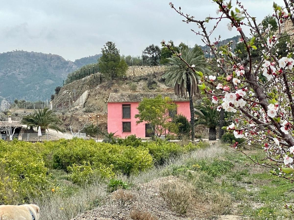 Casa Ramoncico. Finca El Campillo Blanca ภายนอก รูปภาพ