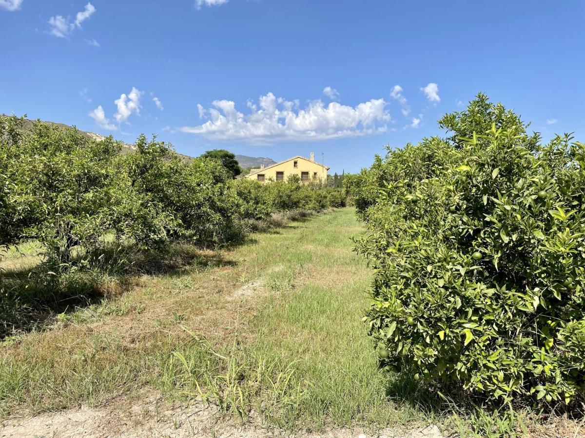 Casa Ramoncico. Finca El Campillo Blanca ภายนอก รูปภาพ