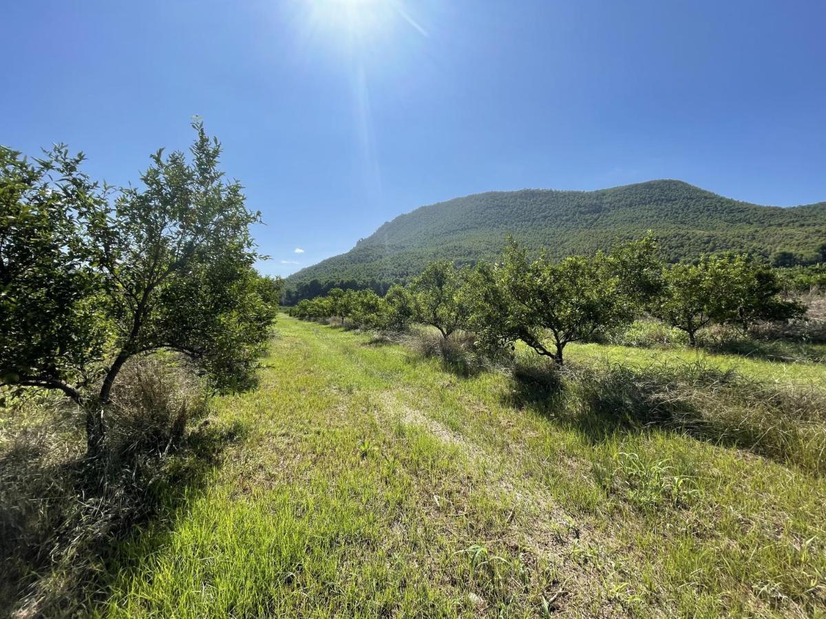 Casa Ramoncico. Finca El Campillo Blanca ภายนอก รูปภาพ