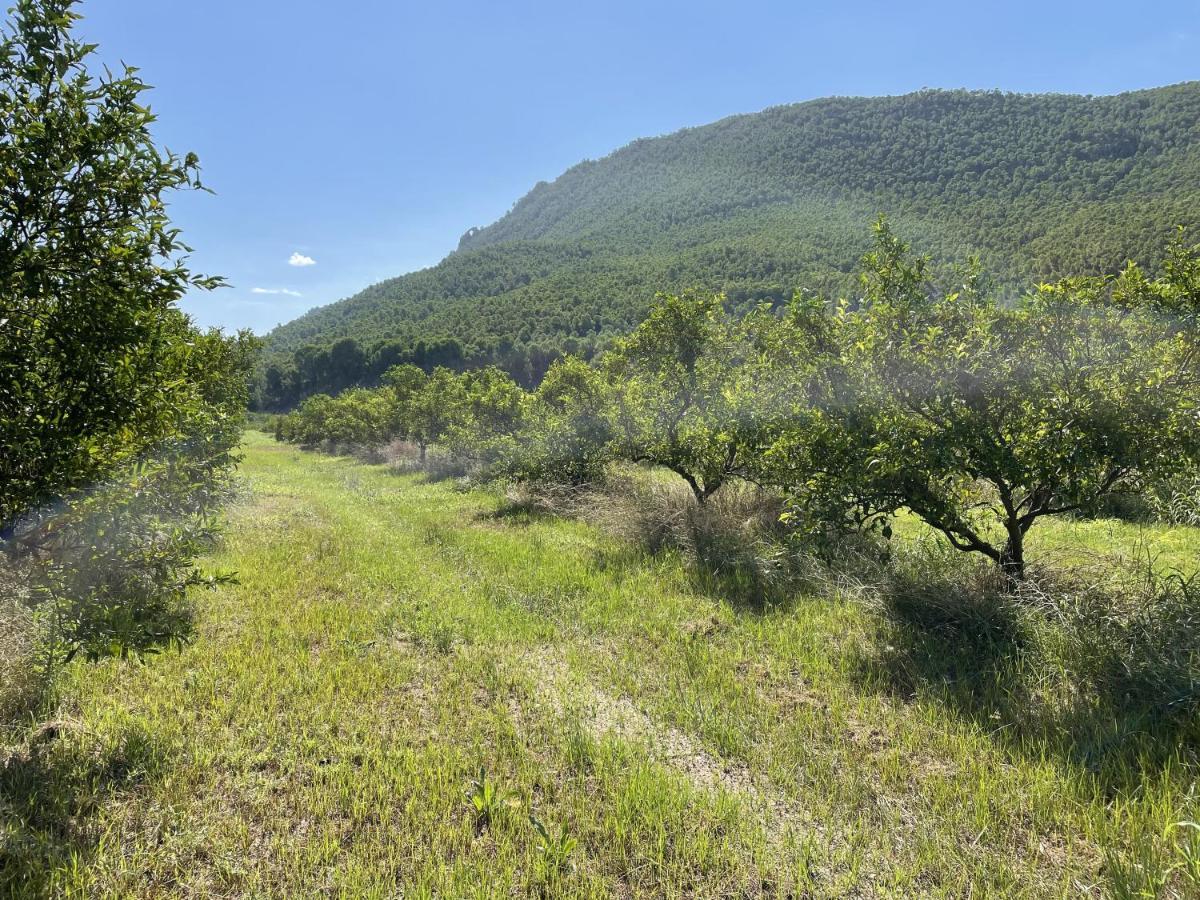 Casa Ramoncico. Finca El Campillo Blanca ภายนอก รูปภาพ