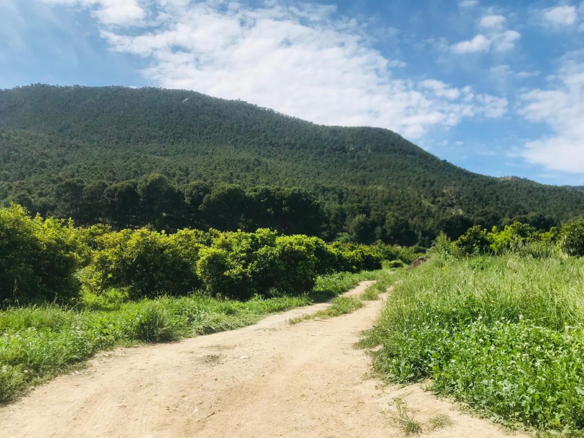 Casa Ramoncico. Finca El Campillo Blanca ภายนอก รูปภาพ