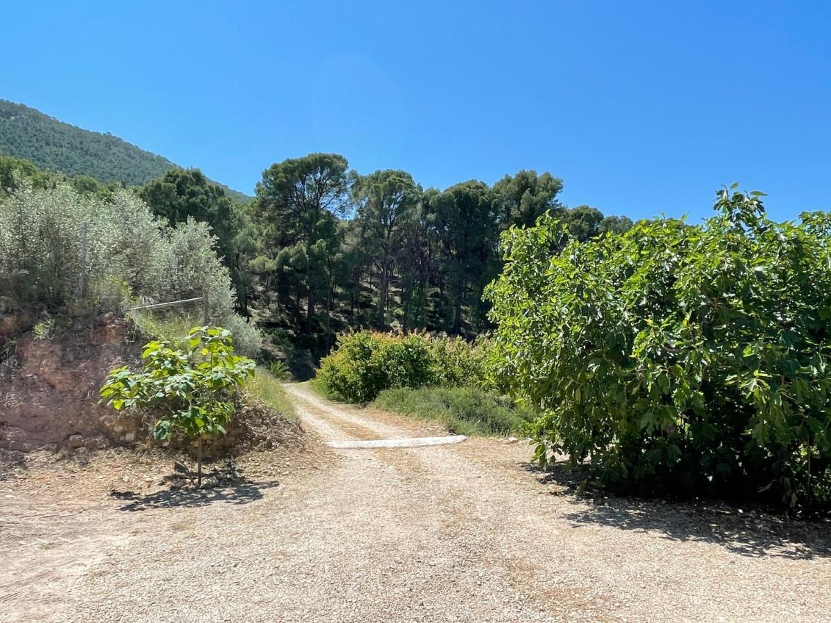 Casa Ramoncico. Finca El Campillo Blanca ภายนอก รูปภาพ