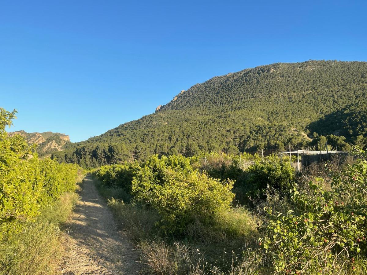 Casa Ramoncico. Finca El Campillo Blanca ภายนอก รูปภาพ